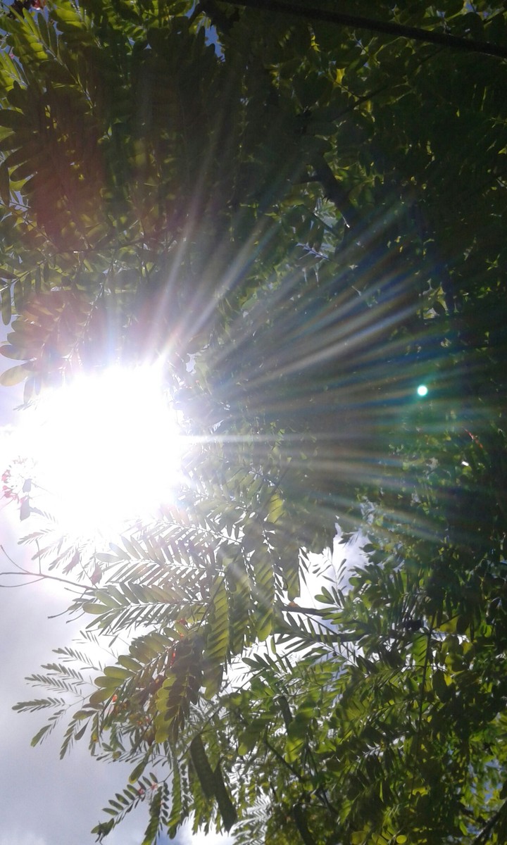 Sunlight