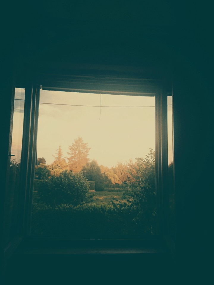 Window landscape