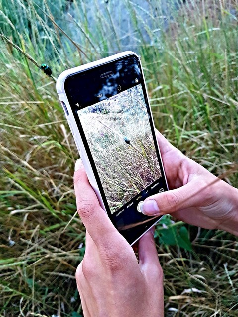 iphone6, beautiful háttérképek