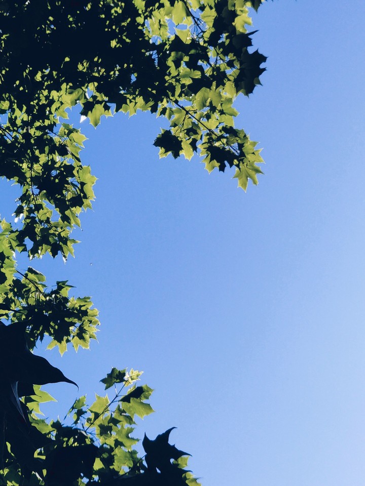 summer sky