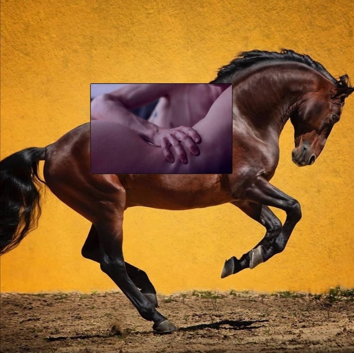 л