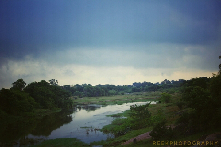 reekclicks