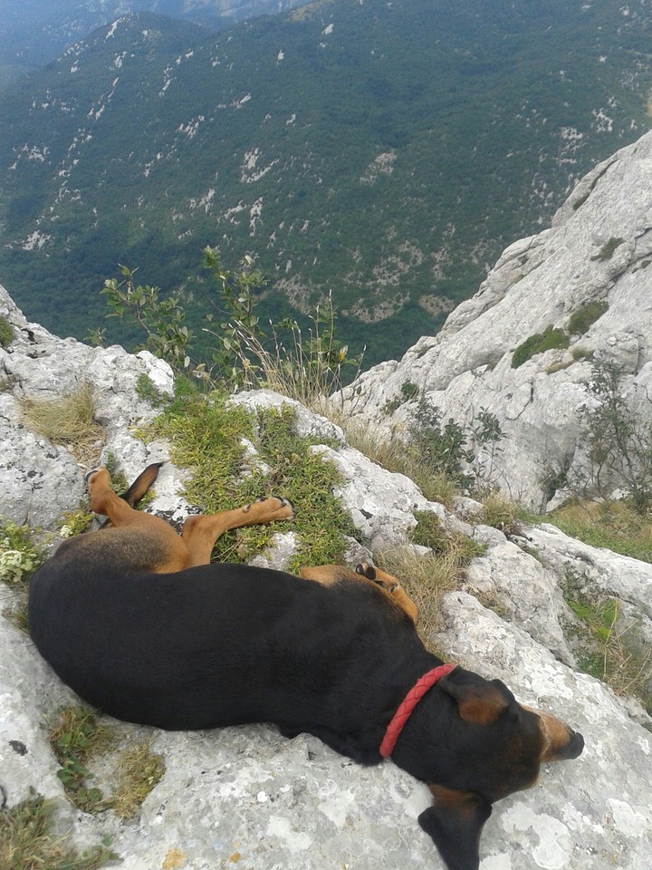 Napping on the top of the mountain.