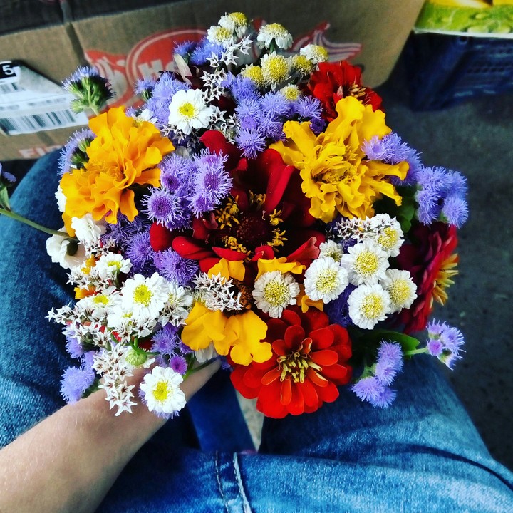 #flower