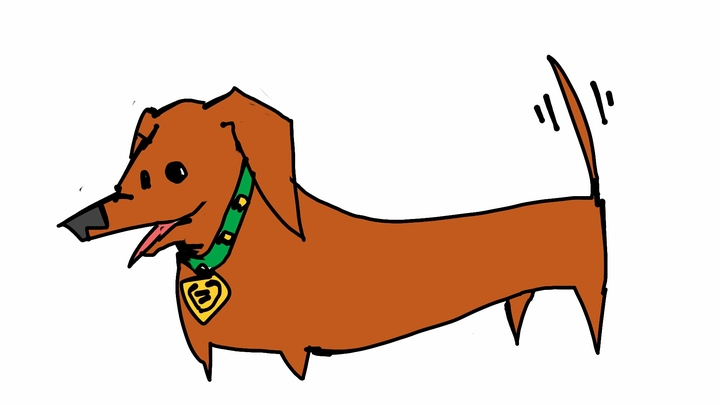 Hot dog
