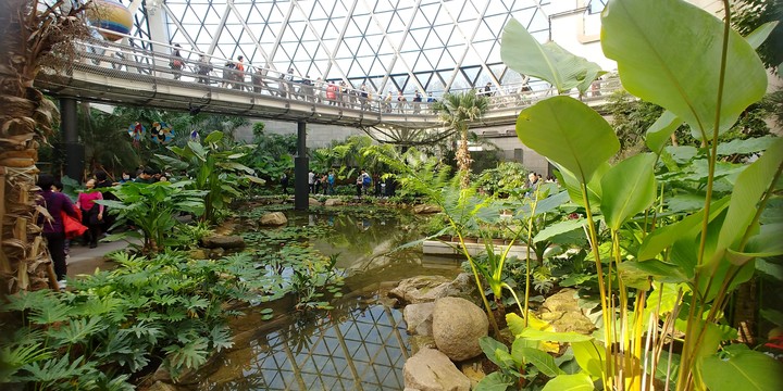 Seoul Botanical gardens