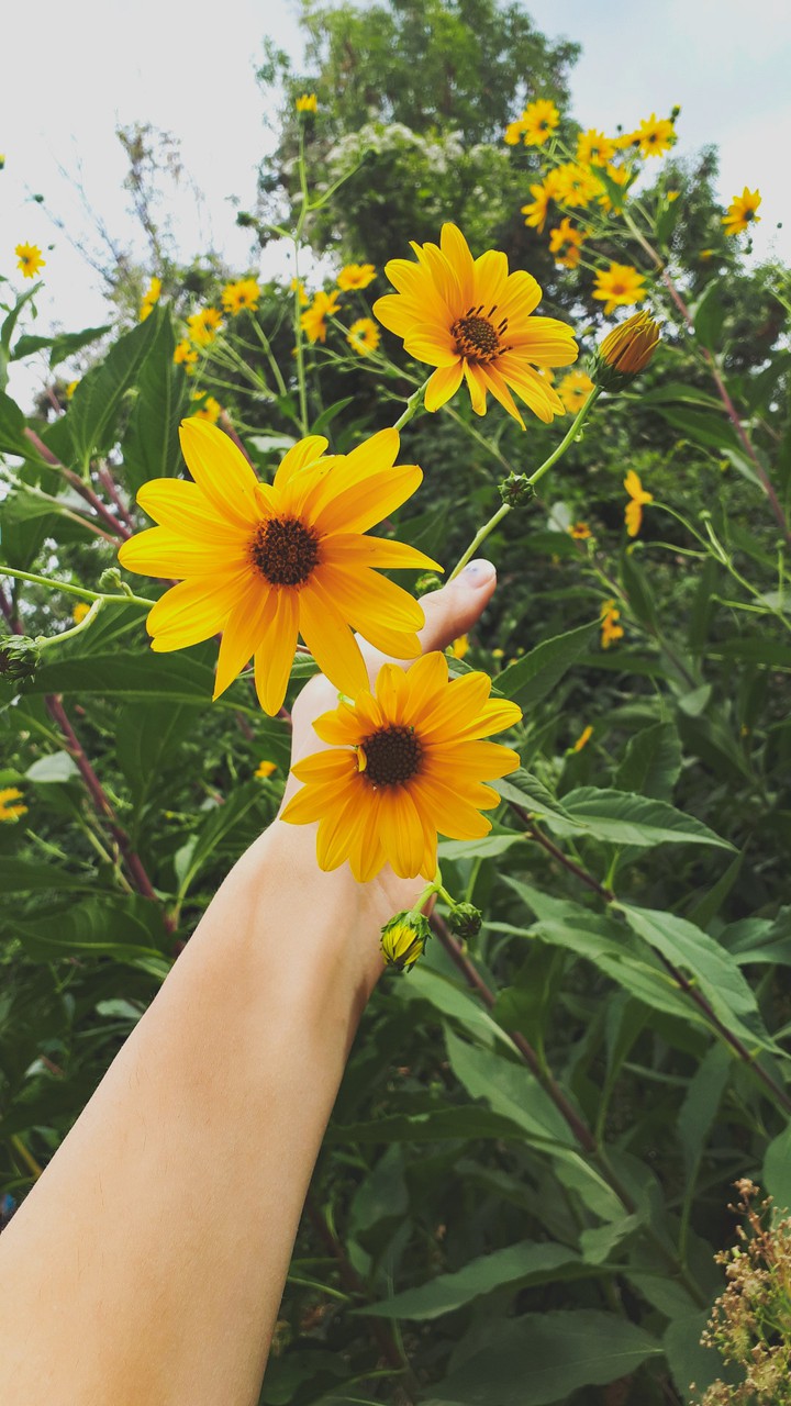 Nature is something amazing