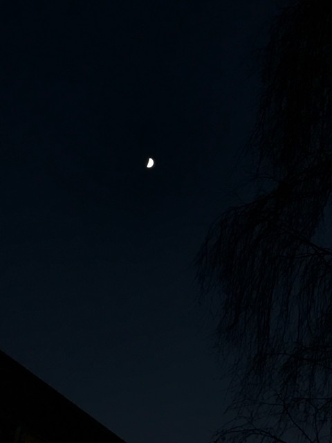 mooooon