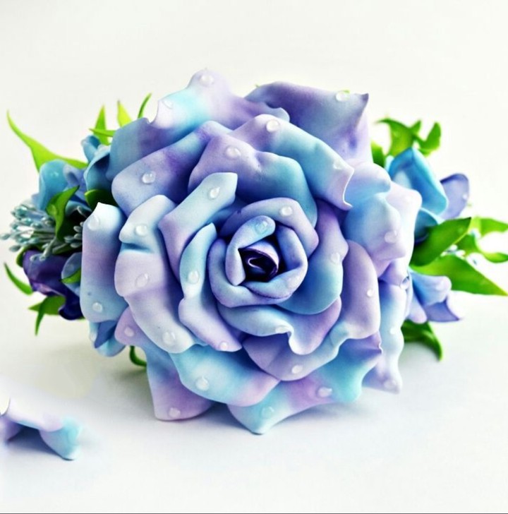 blue Roses