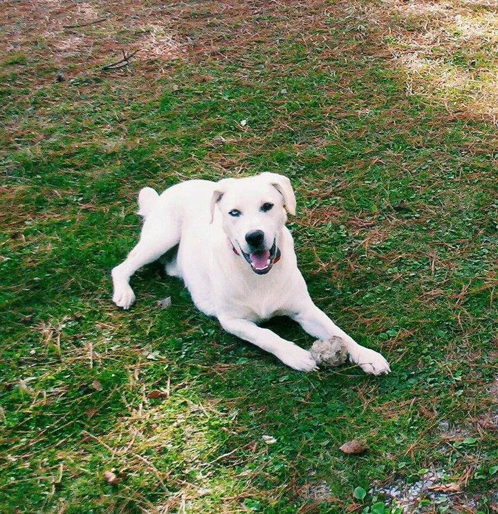 Play time