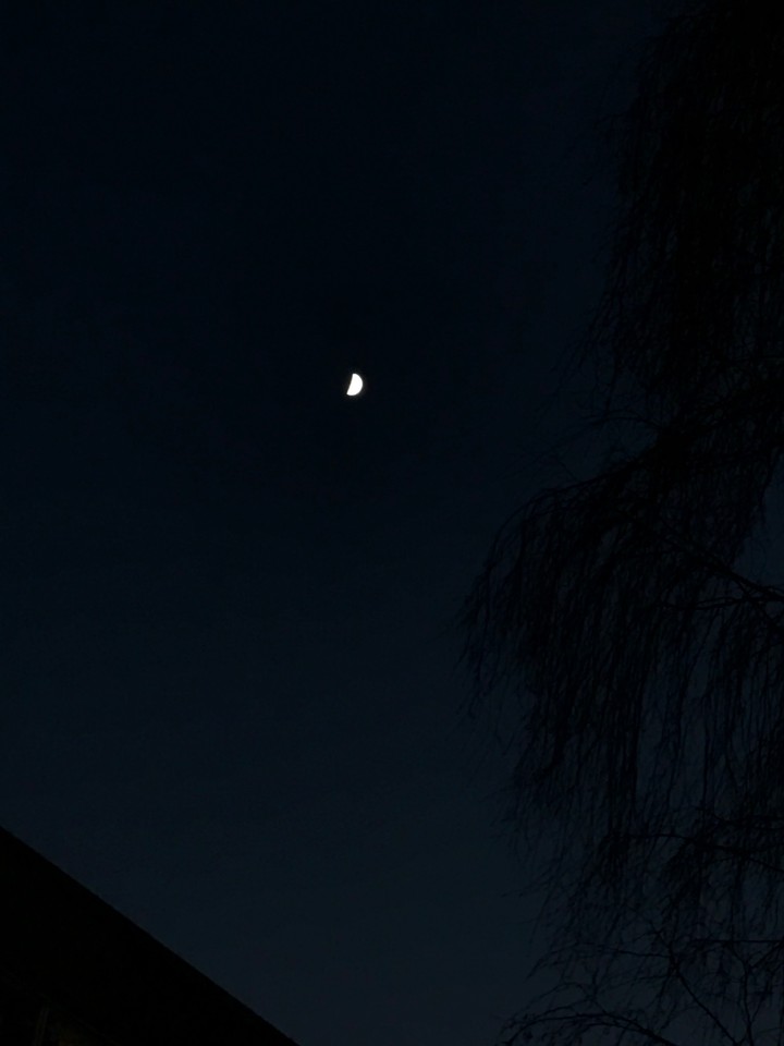 mooooon