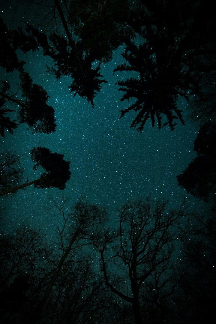 night