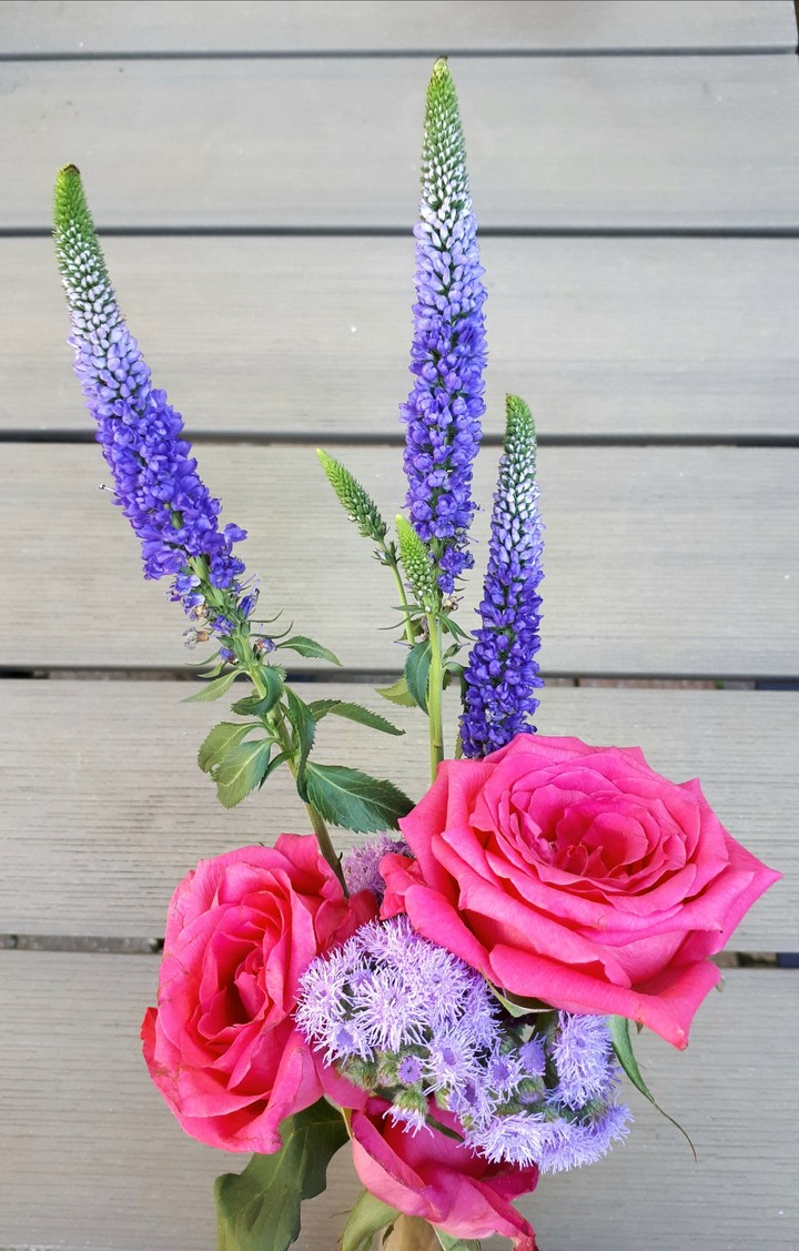 Spring Flowers