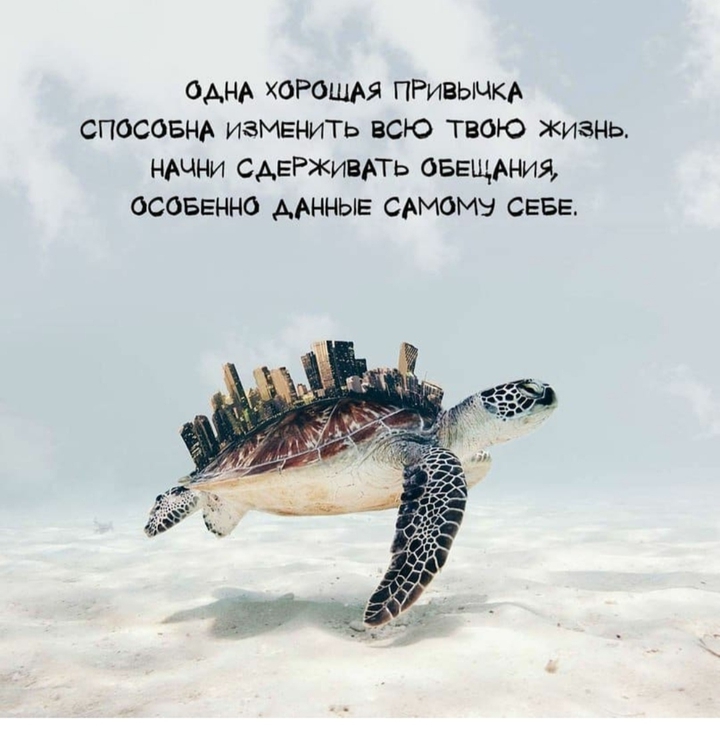 ро