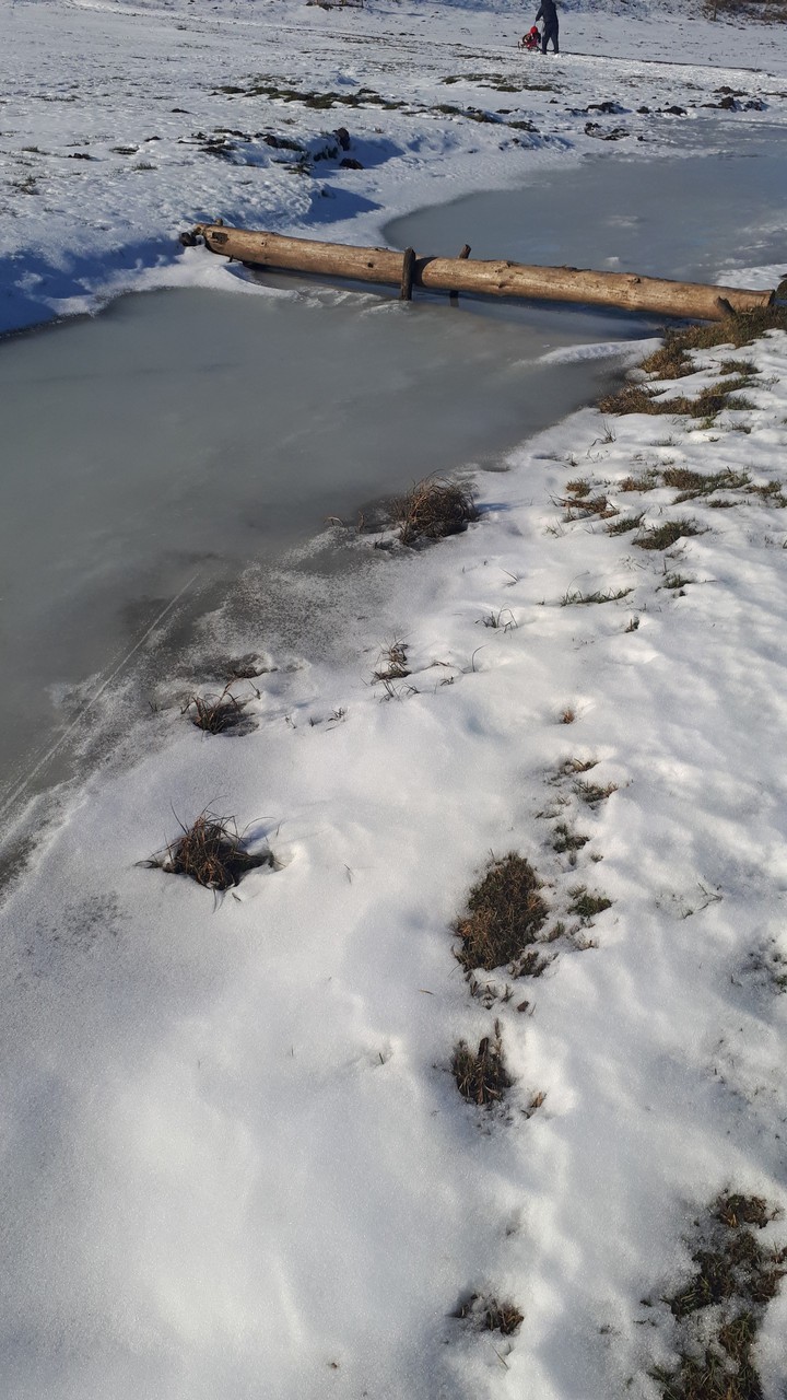 ice