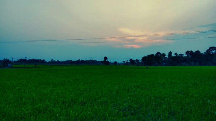 Evening click
