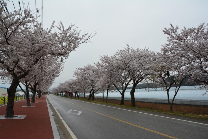 풍경이미지
