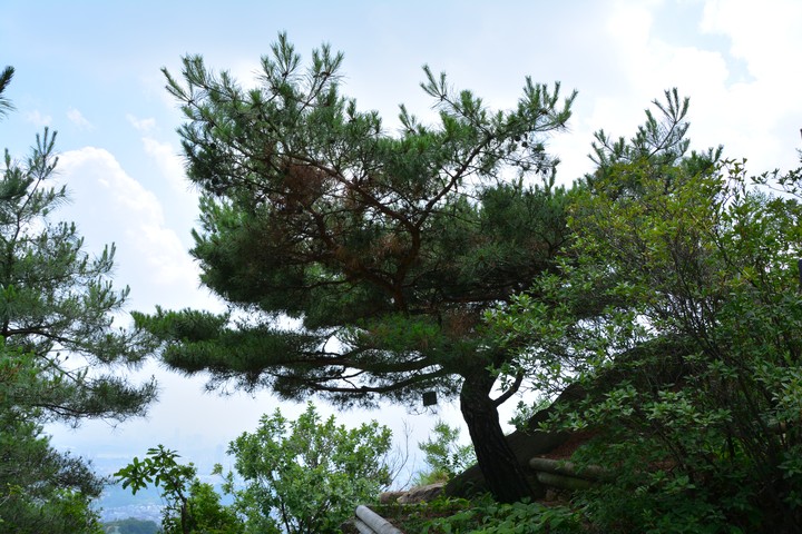 용마산이미지