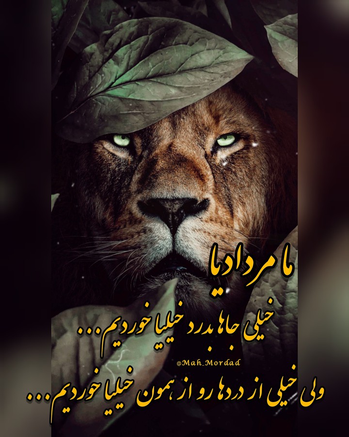 مرداد