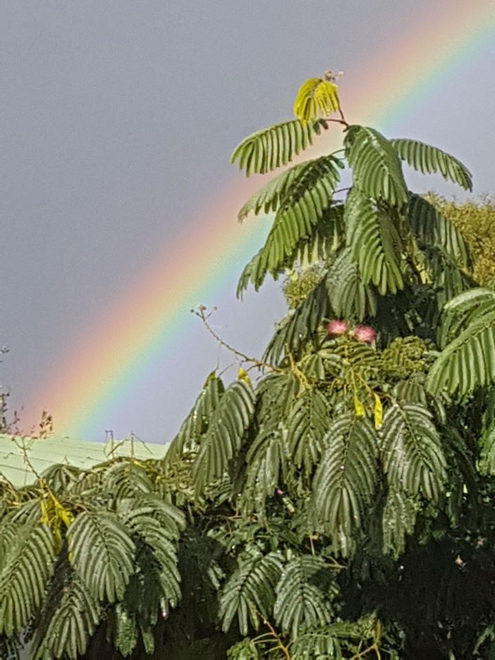 arc en ciel d été