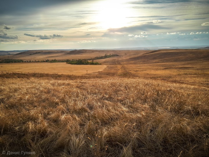 дорога