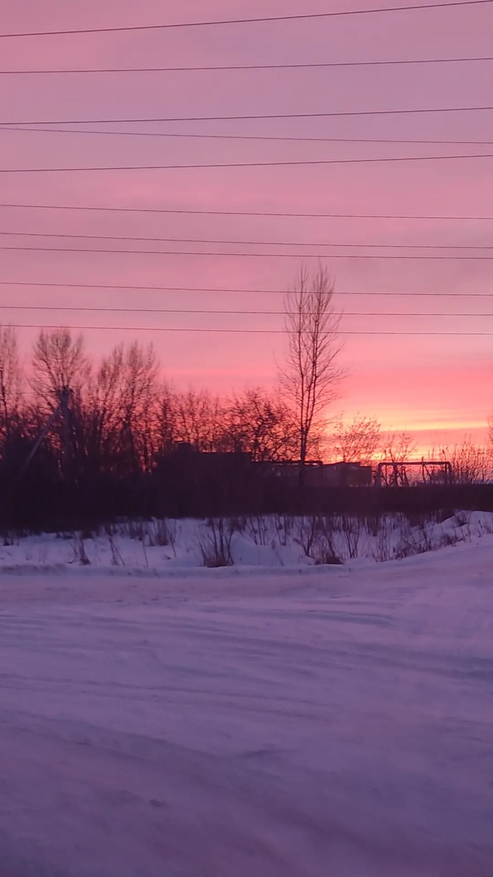 winter