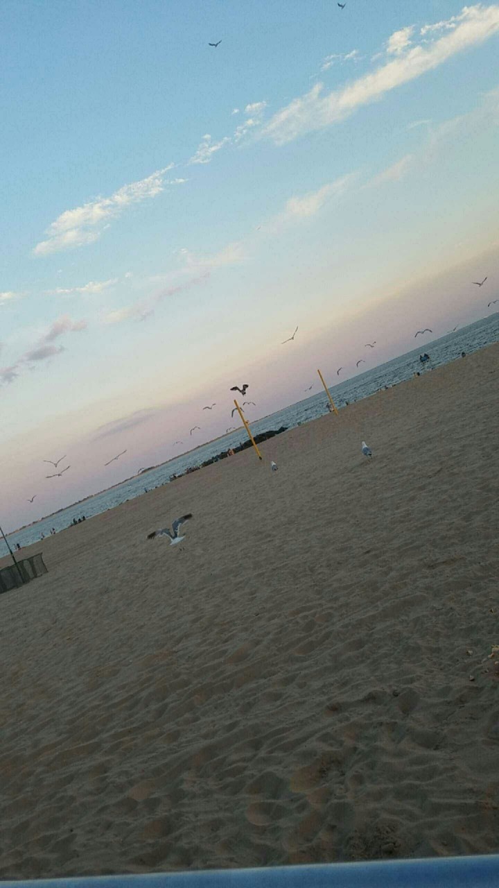 a day at the beach