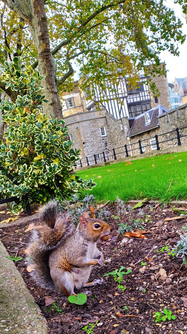 Londres