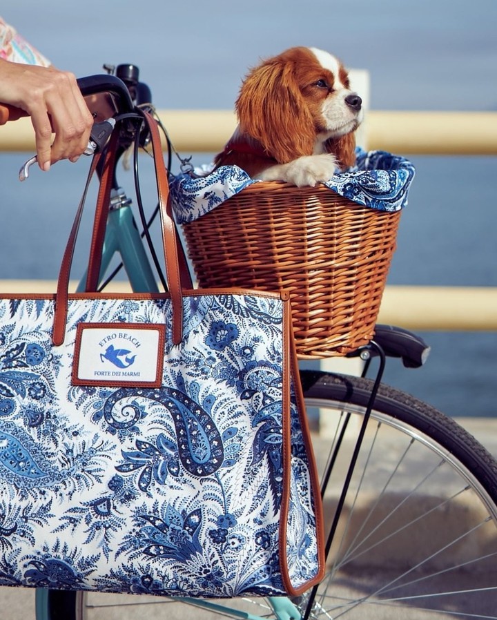 --ride--
