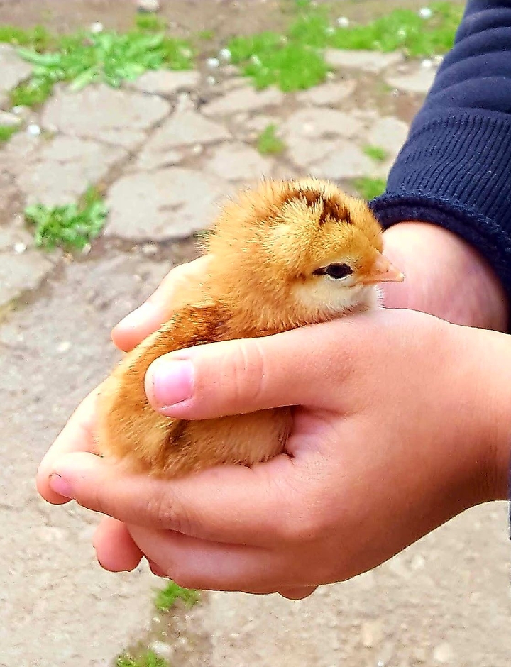 Baby treasure