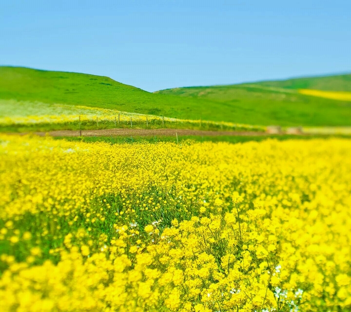 mountains    landscape_lover  landscapehunter