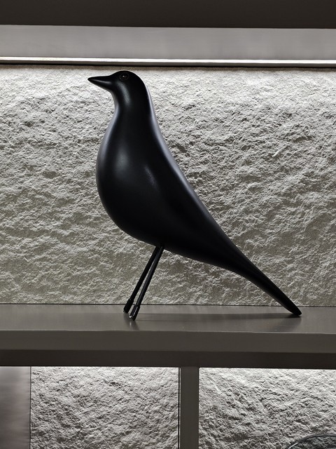 fondos de pantalla bird, Tail