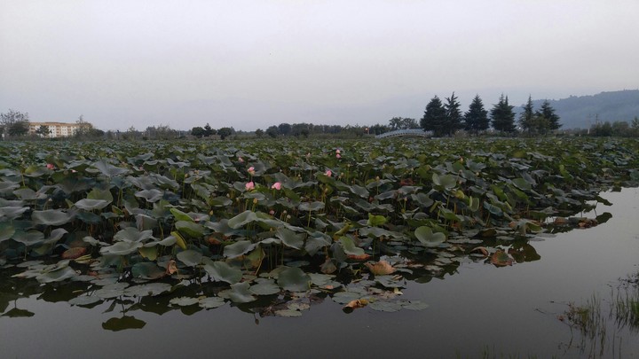 Langrud. Iran