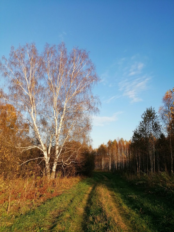 Nature