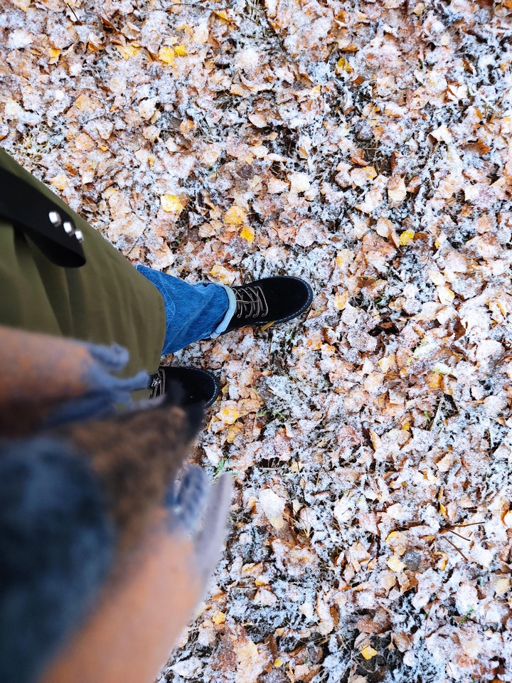 walk in leaves and snow