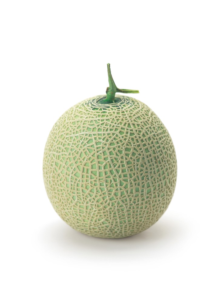 음식이미지