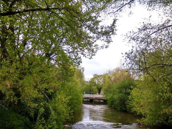 Nature