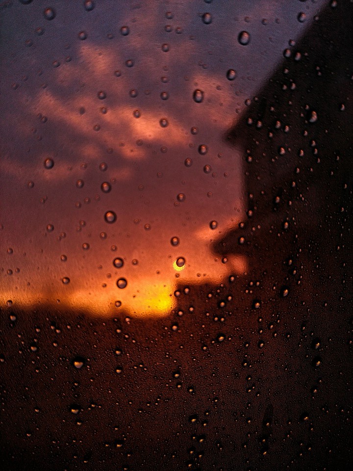 last weeks morning