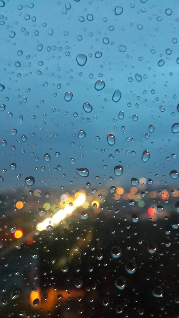 дождливое утро