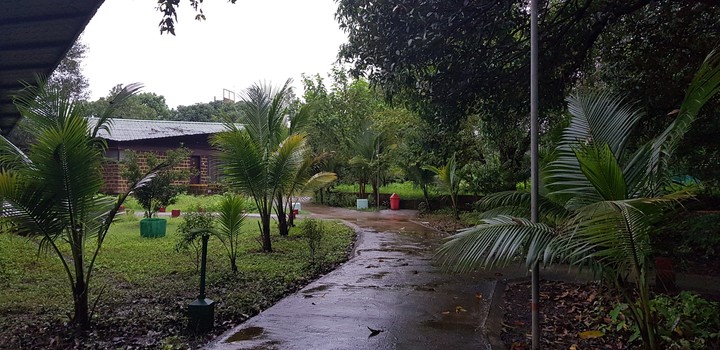 Kolad - Monsoon