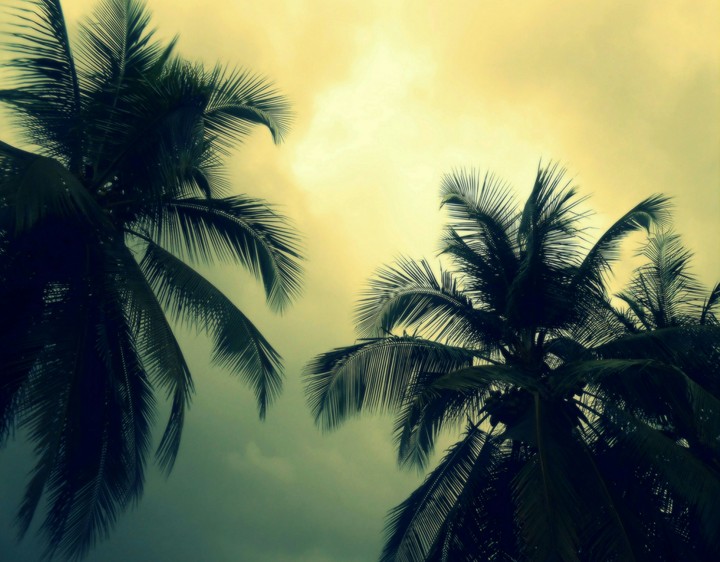 One cloudy day..