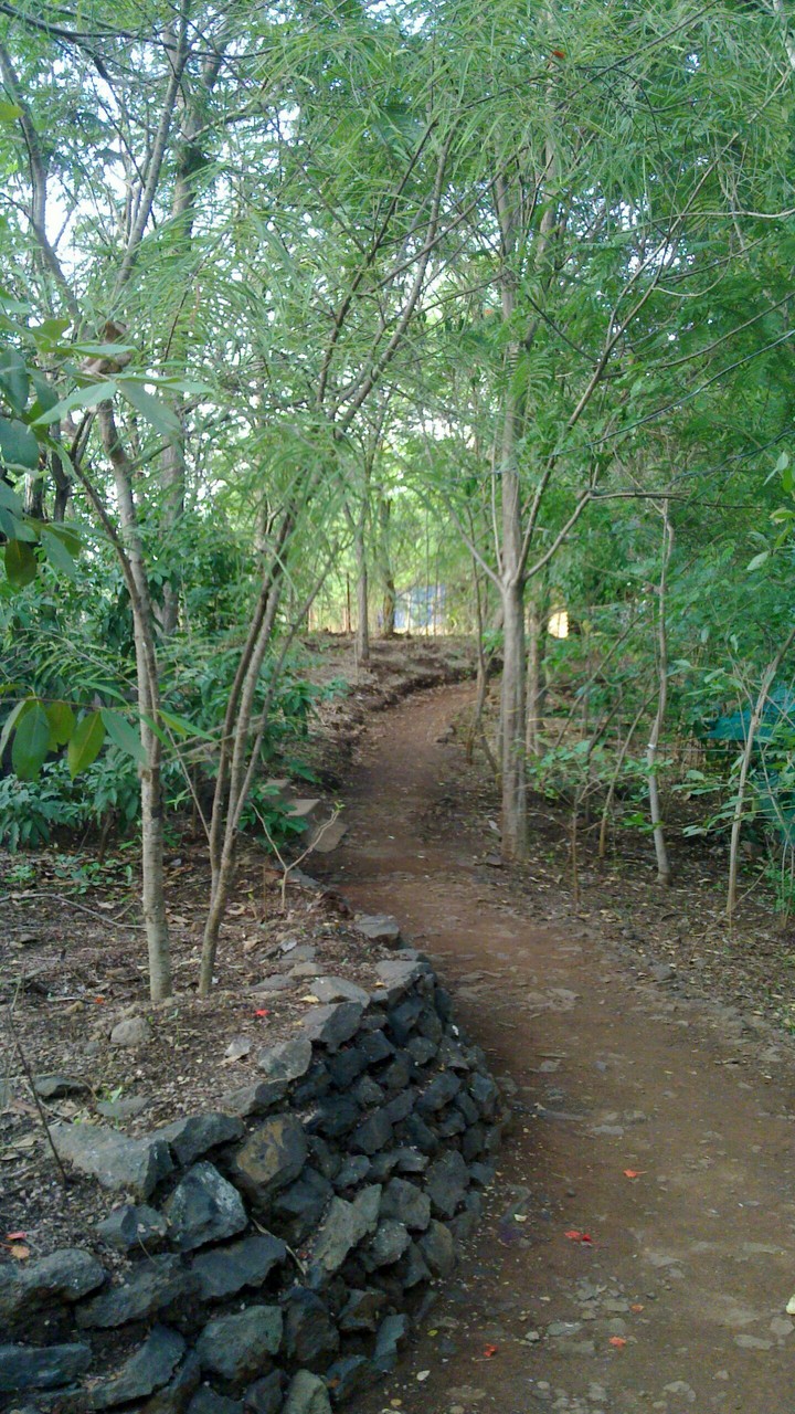 Hidden Village