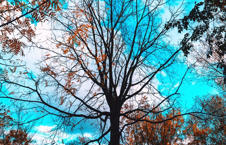 fall