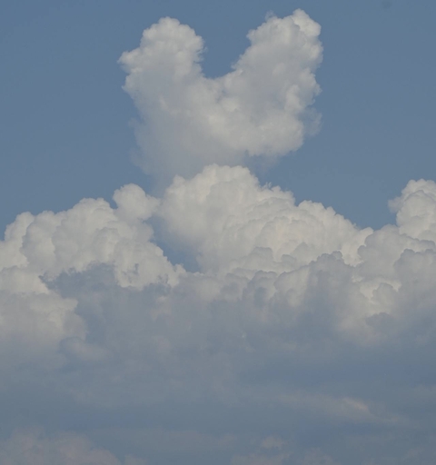 ταπετσαρίες Cumulus, landscapes