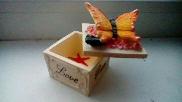 seashells and small casket