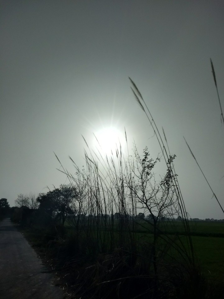 strong rays