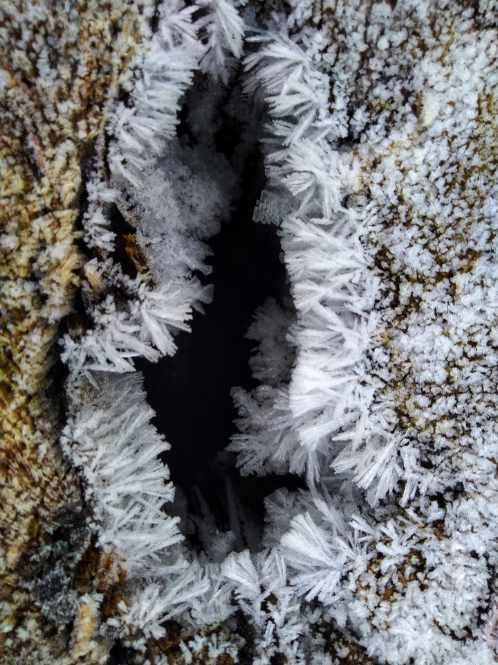 just a bit of frost but at least something