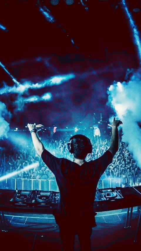 a concert back