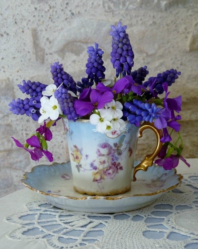 teacap