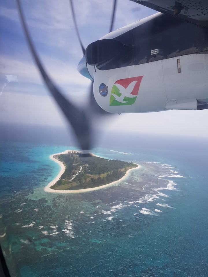Bird island